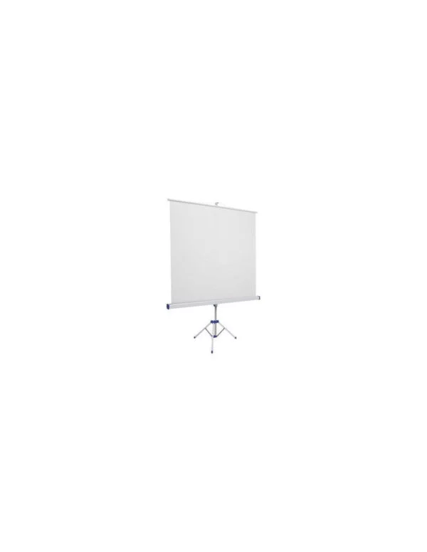 Écran de projection dépliable 236 x 176 cm à louer